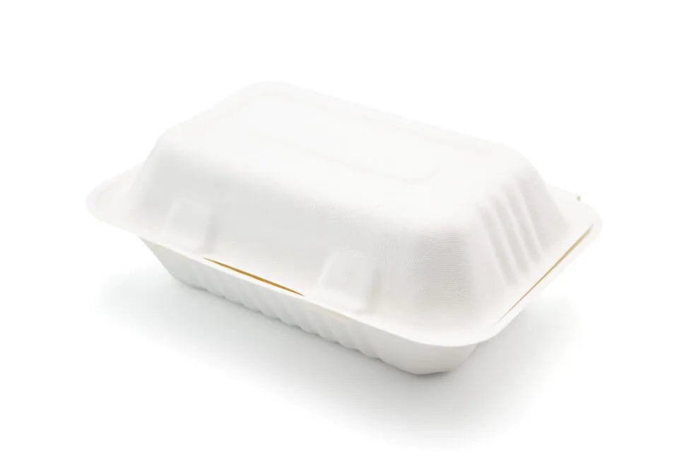 Large Lunch Bagasse Box – HB10